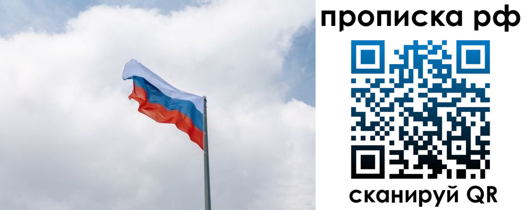прописка гарантия в Камбарке
